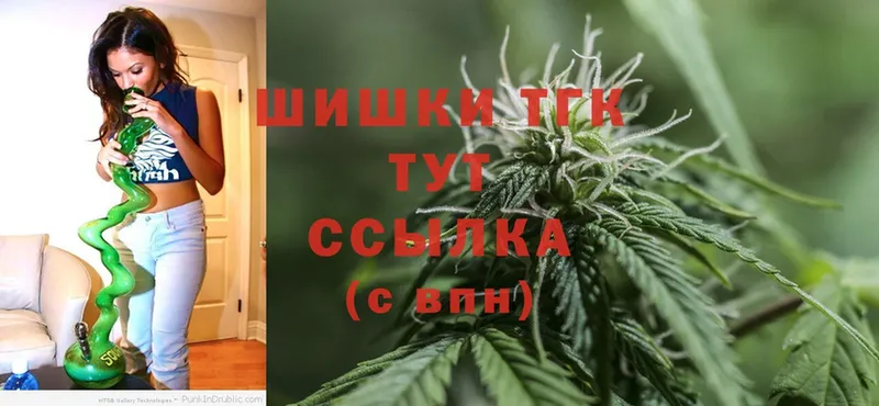 Шишки марихуана THC 21%  сколько стоит  Ленинск 